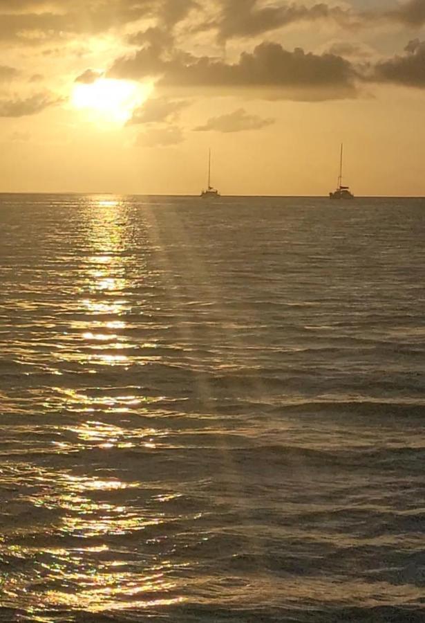 Island Magic Beach Resort Caye Caulker Exteriér fotografie