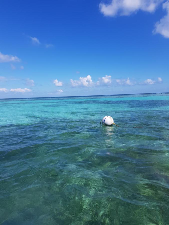 Island Magic Beach Resort Caye Caulker Exteriér fotografie